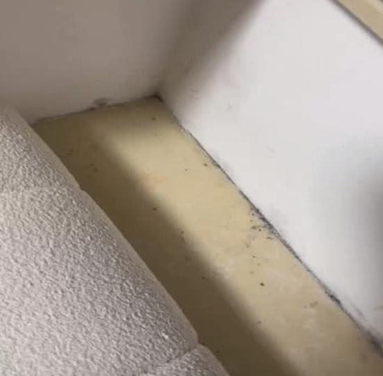 DƬ